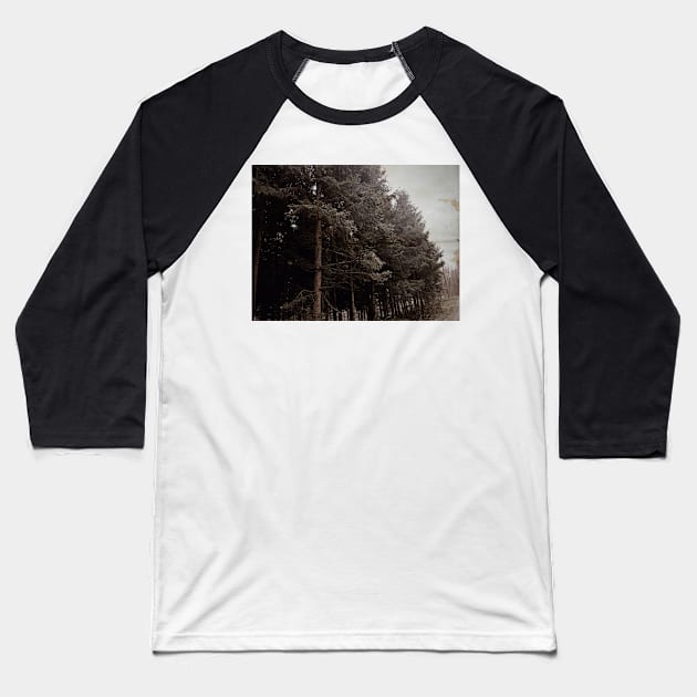 Vintage misty forest photography Baseball T-Shirt by Dturner29